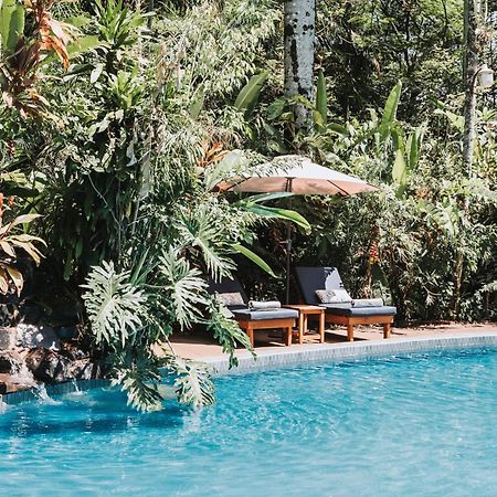 Overo Lodge & Selva بويرتو إجوازو المظهر الخارجي الصورة