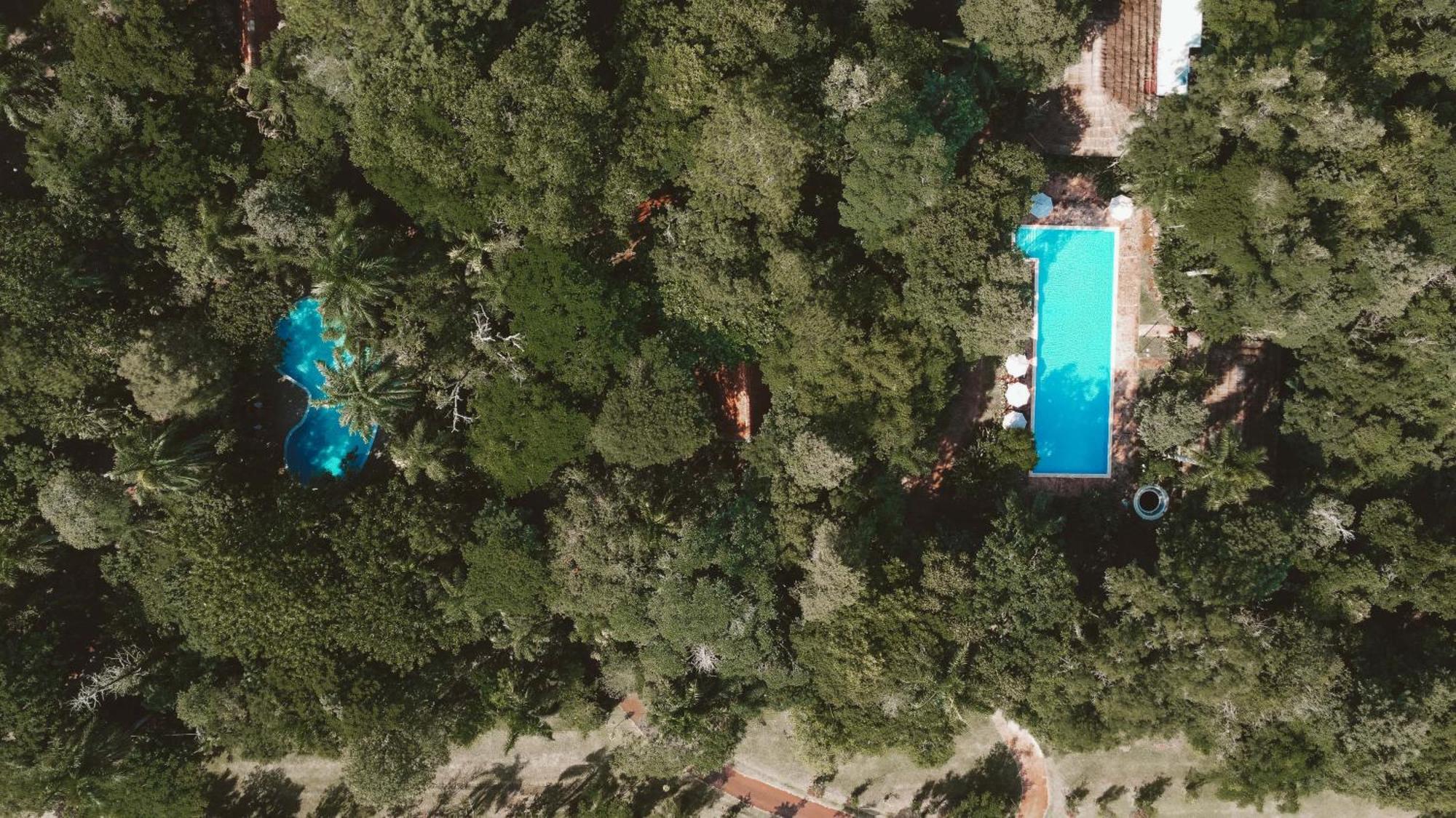 Overo Lodge & Selva بويرتو إجوازو المظهر الخارجي الصورة